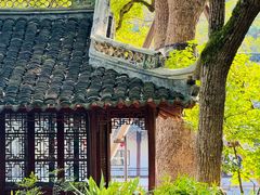 -上海醉白池公园
