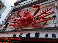 -蟹道乐(道顿堀本店)