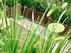 -龙湖重庆时代天街