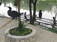 -长兴太湖图影湿地文化园