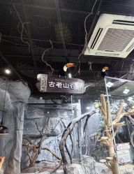 -Zoolung Zoolung动物主题公园(海信广场店)