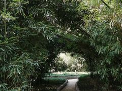-菊花台公园