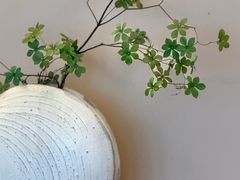 -隐溪茶馆(静安寺店)
