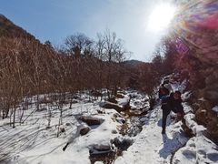 -秦岭风景区