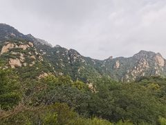 -大岭沟猕猴桃谷风景区