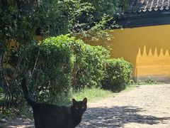 -西园戒幢律寺