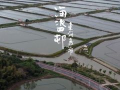 -蛇蟠岛