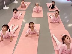-蒲公英舞蹈艺术中心(促进路校区)