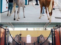 -华海酒店(茂名高铁站店)