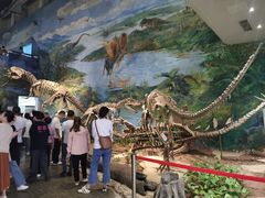 -自贡恐龙博物馆