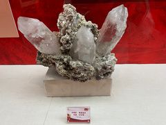-中国地质博物馆