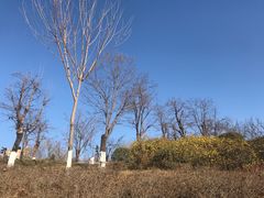 -西安汉城湖景区