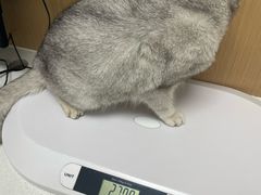 -瑞派康怡24h宠物医院·犬猫医疗中心·微创绝育(瑞景分院)