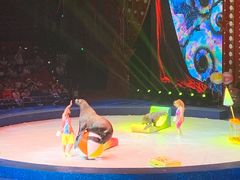 -珠海横琴长隆《卡卡虎奇遇记》