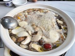 -蘑统田下·野生菌火锅