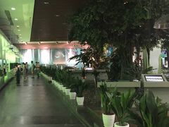 一楼展厅-中国湿地博物馆