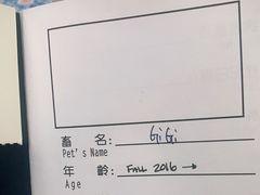-申普宠物医院·心脏介入·心血管微创(总院)