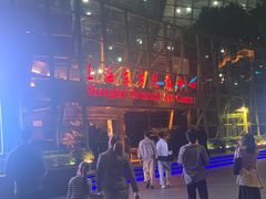 -上海东方艺术中心