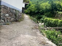 -四明山国家森林公园