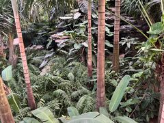 -石家庄市植物园