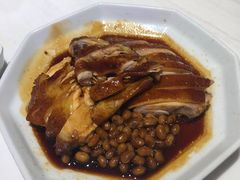 -金戈戈香港豉油鸡(皇庭广场店)