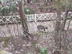 -上海吴淞炮台湾国家湿地公园