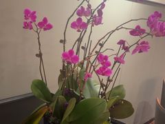 -长安记·大美陕菜(大族广场店)