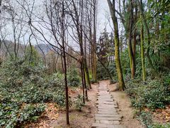 -青城山