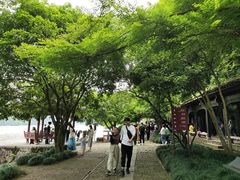 -严子陵钓台(富春江小三峡)