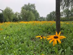 -东郊湿地公园