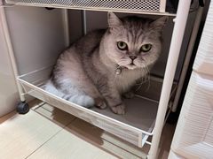 -Oasis绿洲银饰珍珠手作diy(壹方城店)