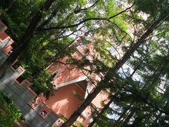 -黑龙江省森林植物园