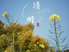 -上海浦东新区乐乡公墓