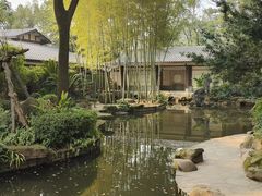 -南山植物园