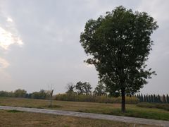 -汉景帝阳陵博物院