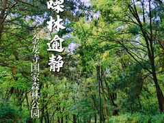 -金龙寺国家森林公园