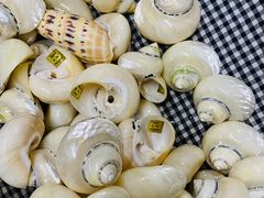 -青岛贝壳博物馆