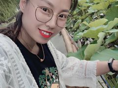 -白洋淀景区