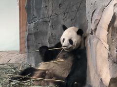 -青藏高原野生动物园