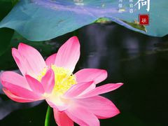 -丰台科技园生态主题公园