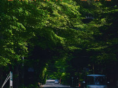 -轻井泽王子购物广场