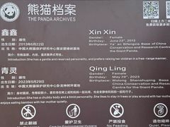 -都江堰中华大熊猫苑