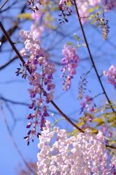 -Oasis Beauty水磨坊科技美肤中心