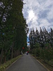 -前小桔亲子创意农场·草莓采摘·露营烧烤