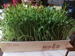 -捞神煲汤火锅(湖滨商业街店)