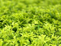 -厦门高崎国际机场-T3航站楼