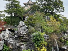 -顺峰山公园