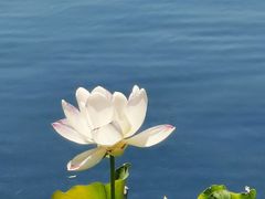 -什刹海