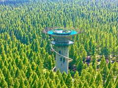 -黄海国家森林公园