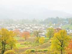 -塔川景区